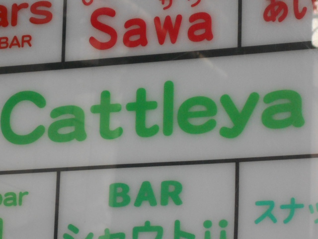 Cattleya