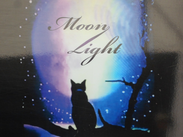 Moon Light