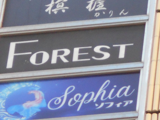 FOREST