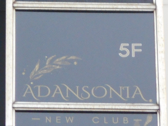 長崎 NEW CLUB ADANSONIA アダンソニア