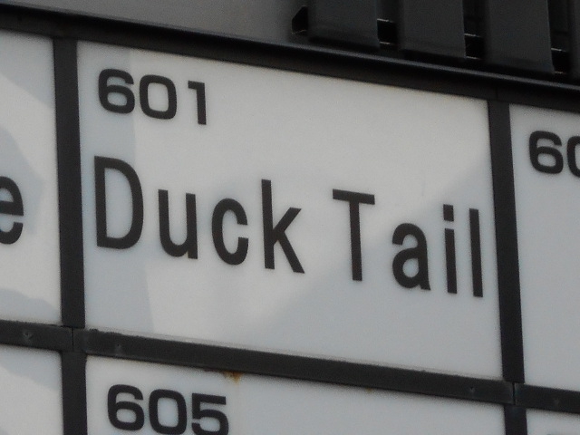 赤羽 Duck Tail　ダックテイル