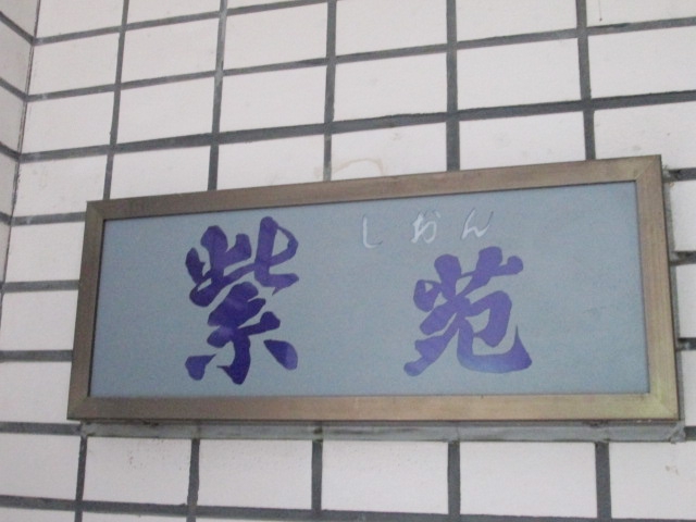 紫苑（しおん）