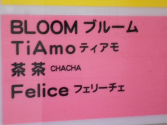 帯広 スナック  TiAmo ティアモ