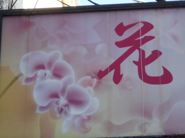 成増 スナック 花