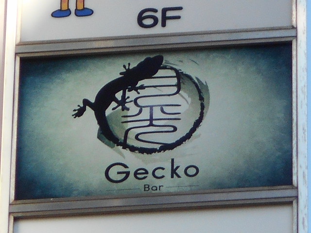 Bar Gecko