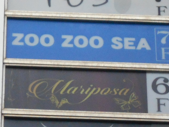 神戸 三宮 スナック ZOO ZOO SEA
