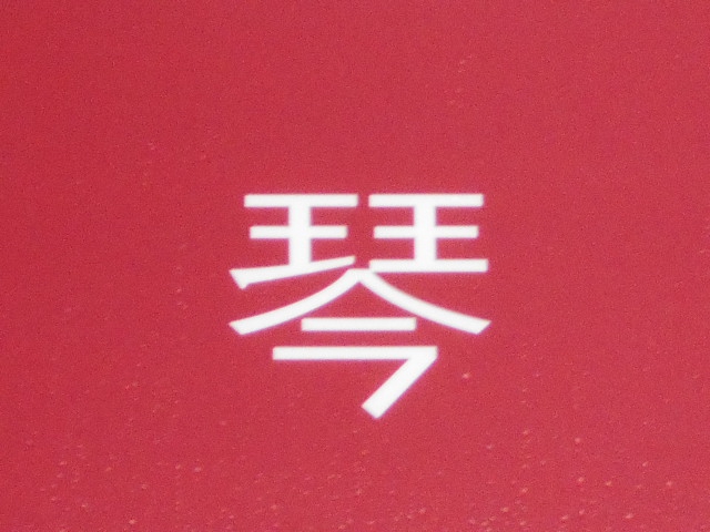 琴