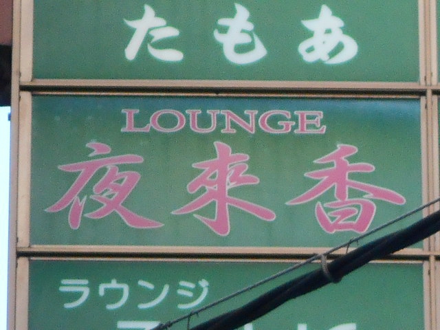 夜来香