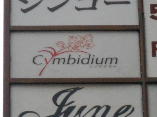Cymbidium　シンビジウム