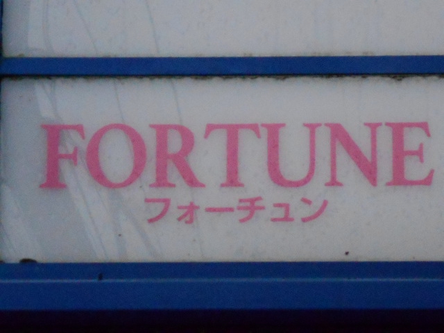 フォーチュン
