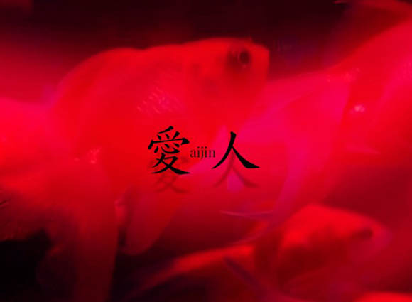 千葉 会員制スナック 愛人