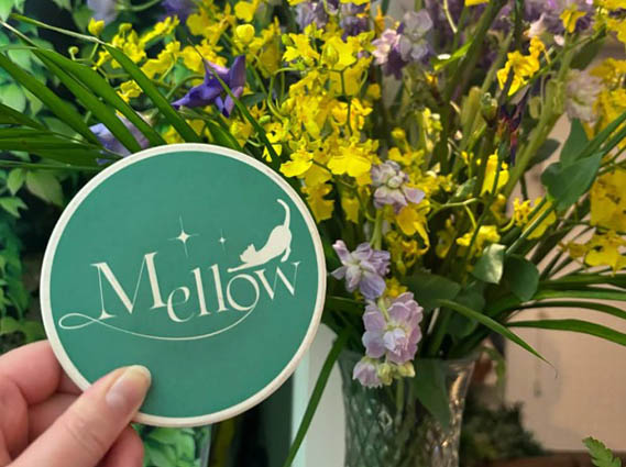 上野 スナック Mellow