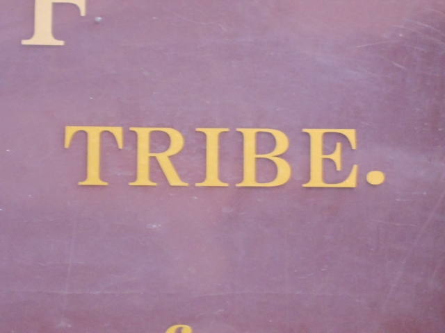 小倉 バー TRIBE.