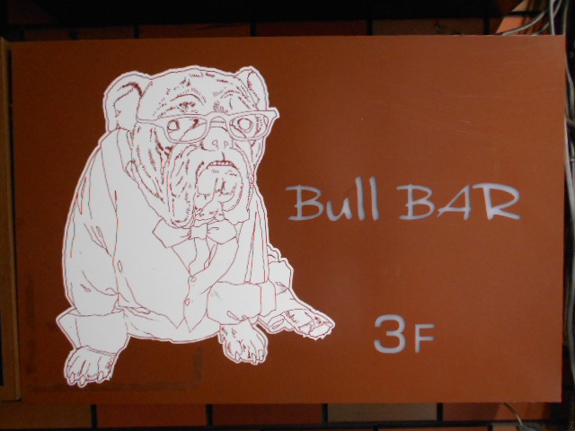 BULL BAR