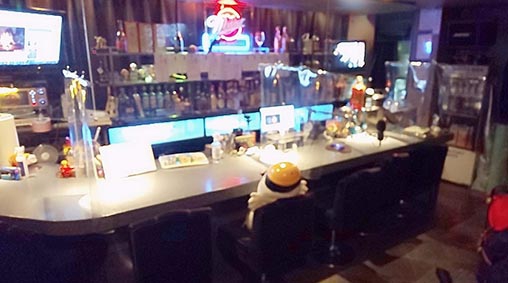 Bar Crowd(s)