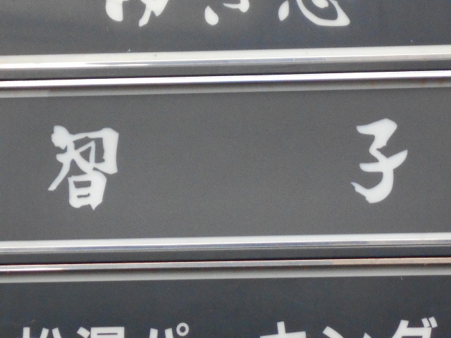 智子
