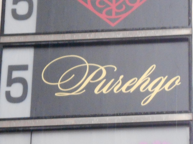 Pusehgo