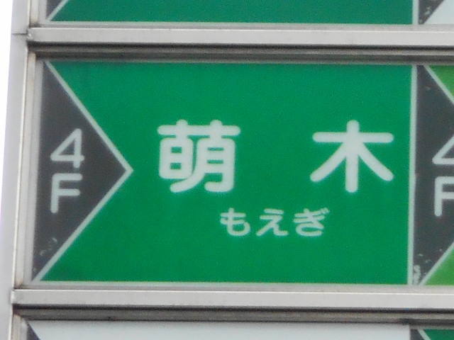 萌木