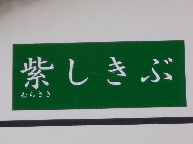宮崎 スナック 紫しきぶ