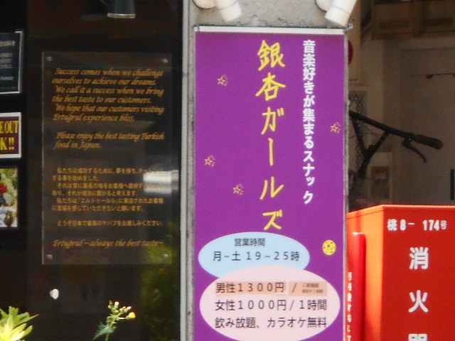 中野 カラオケスナック 銀杏ガールズ
