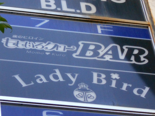 Lady Bird