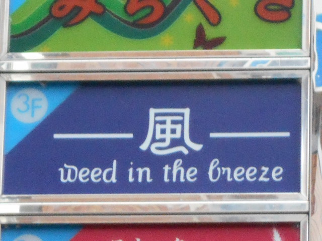 風