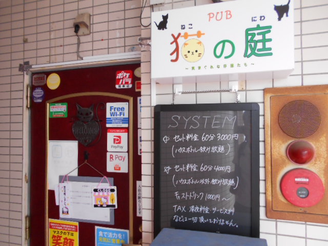 PUB 猫の庭 〜気まぐれな子猫たち〜
