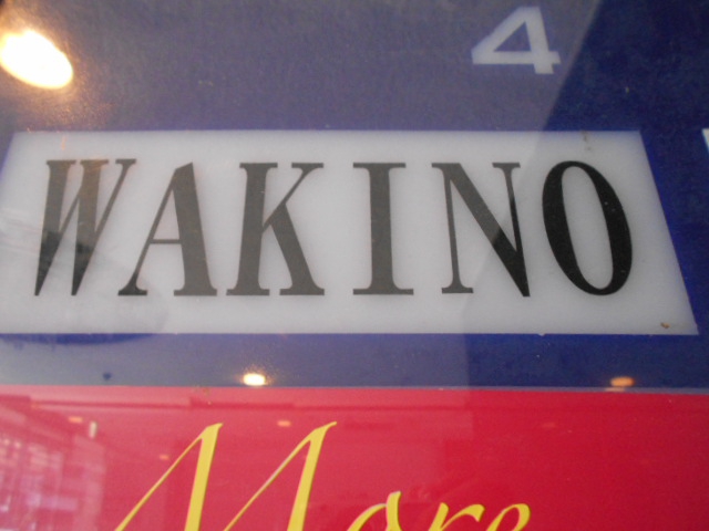 WAKINO