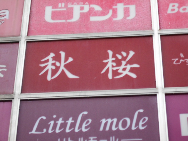 仙台 国分町 スナック 秋桜