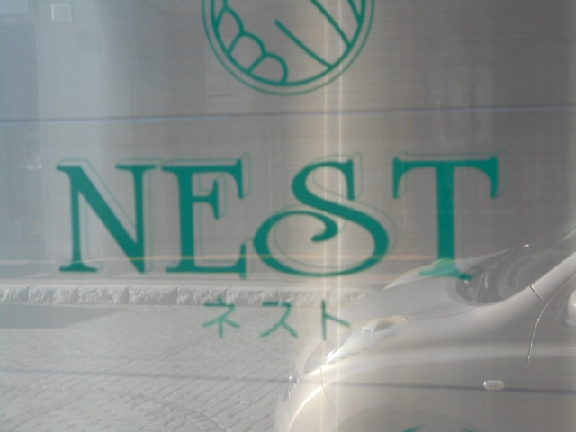 NEST  ネスト