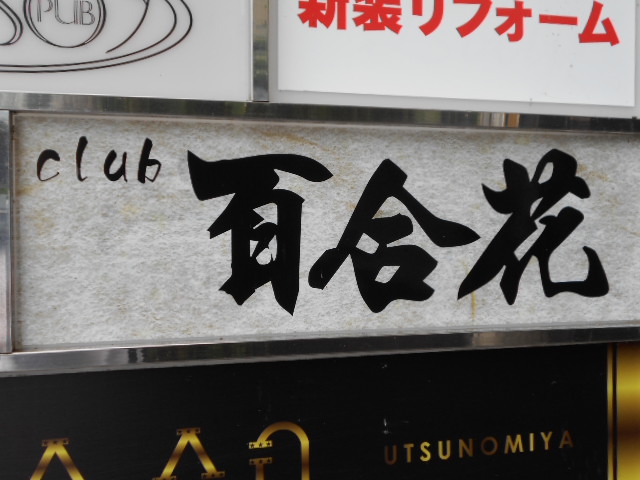 club 百合花