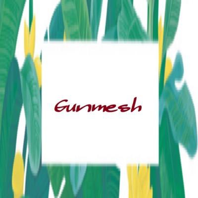 Gunmesh