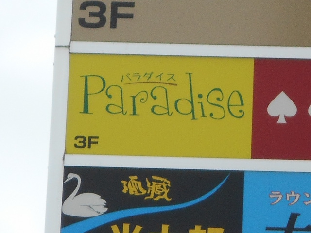 パラダイス