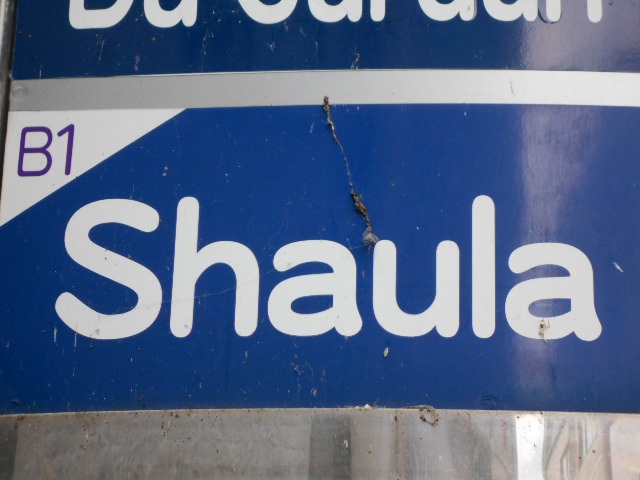 Shaula  シャウラ