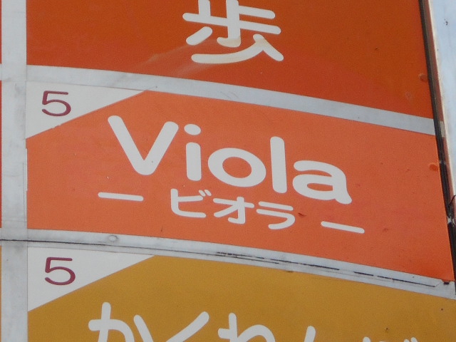 Viola　ビオラ