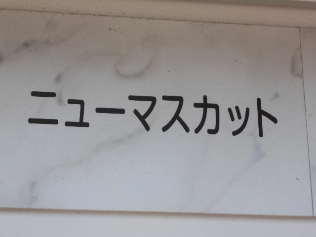 釧路 スナック ニューマスカット