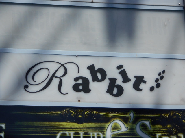 Rabbit