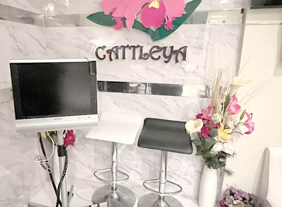 平塚 スナック カトレア