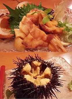 オススメ酒場